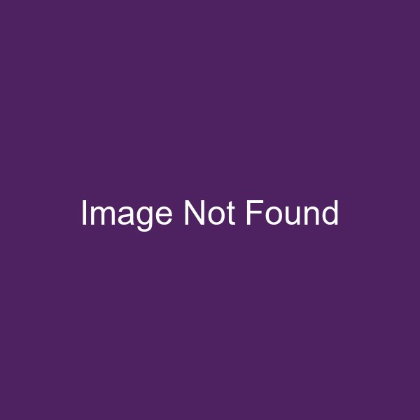 Collection Domain